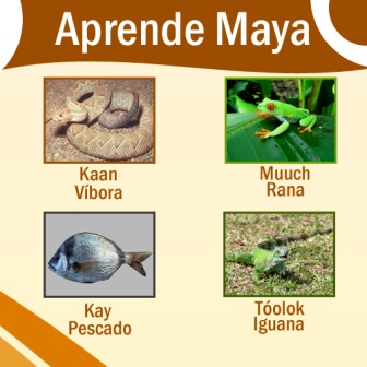 Cómo se dice Serpiente en Maya